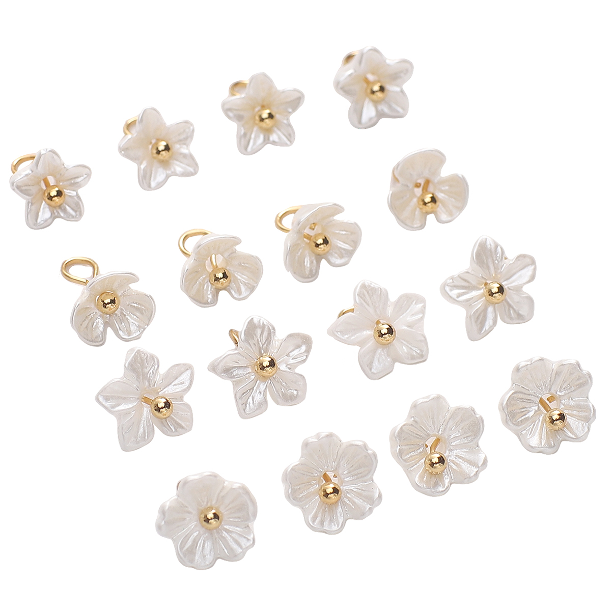 5 Stück weiße Mini kleine Blum – Flower Preservation Resin Bewertung und Preis